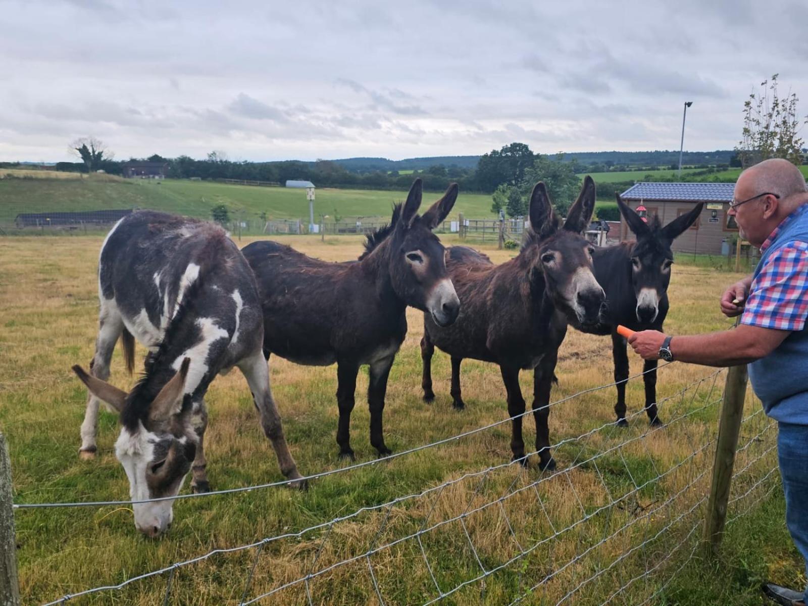 Chalet Fairview Farm 14 Luxury Lodges, Cabins, Dog Friendly, Suitable For Couples, Families And Groups, Wedding Guests , Corporate Events, Sleeps 2-65 Guests In Ravenshead, Near Sherwood Forest, Set In 88 Acres