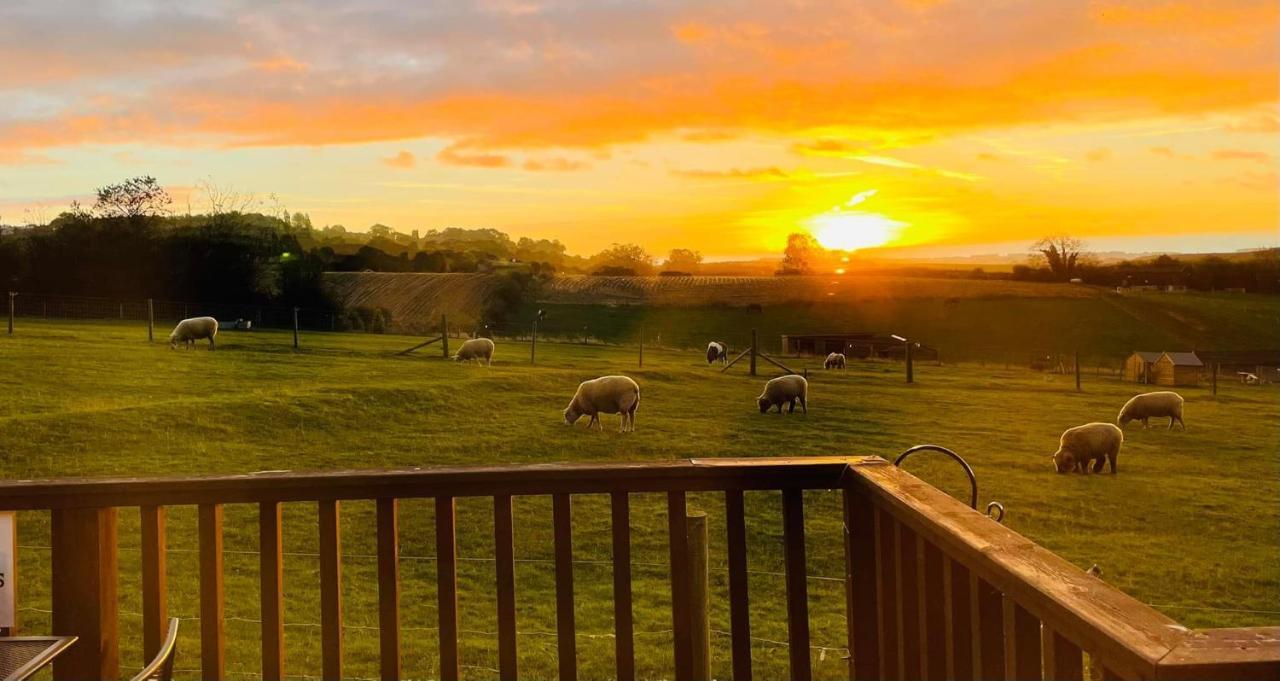 Fairview Farm Holiday 14 Luxury Lodges,cabins ,dog Friendly,suitable For Couples ,families And Groups,wedding Guests ,corporate Events,-sleeps 2-65 Guests In Ravenshead, Near Sherwood Forest Set In 88 Acres Chalet